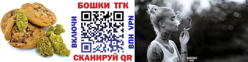 Купить закладки  Краснослободск  Canna-Cookies конопля 