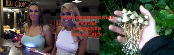 прущие грибы Верхнеуральск