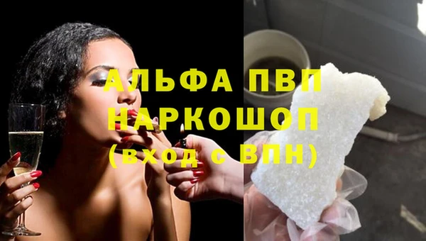 прущие грибы Верхнеуральск