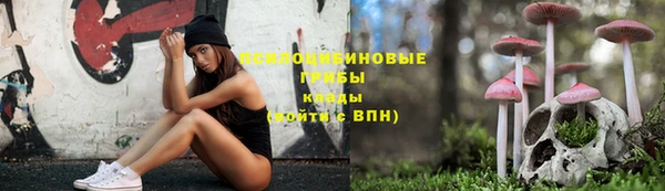 прущие грибы Верхнеуральск