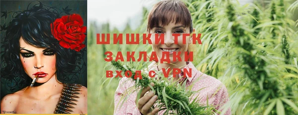 прущий лед Верея
