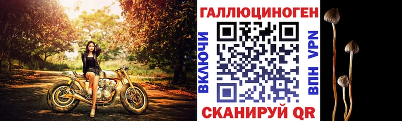 Галлюциногенные грибы Psilocybine cubensis  Купить  Краснослободск 
